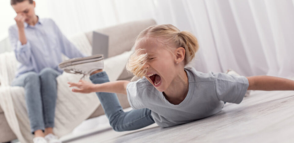 Детские истерики: способ манипулирования родителями или средство выражения негативных эмоций – вся правда о детском плаче